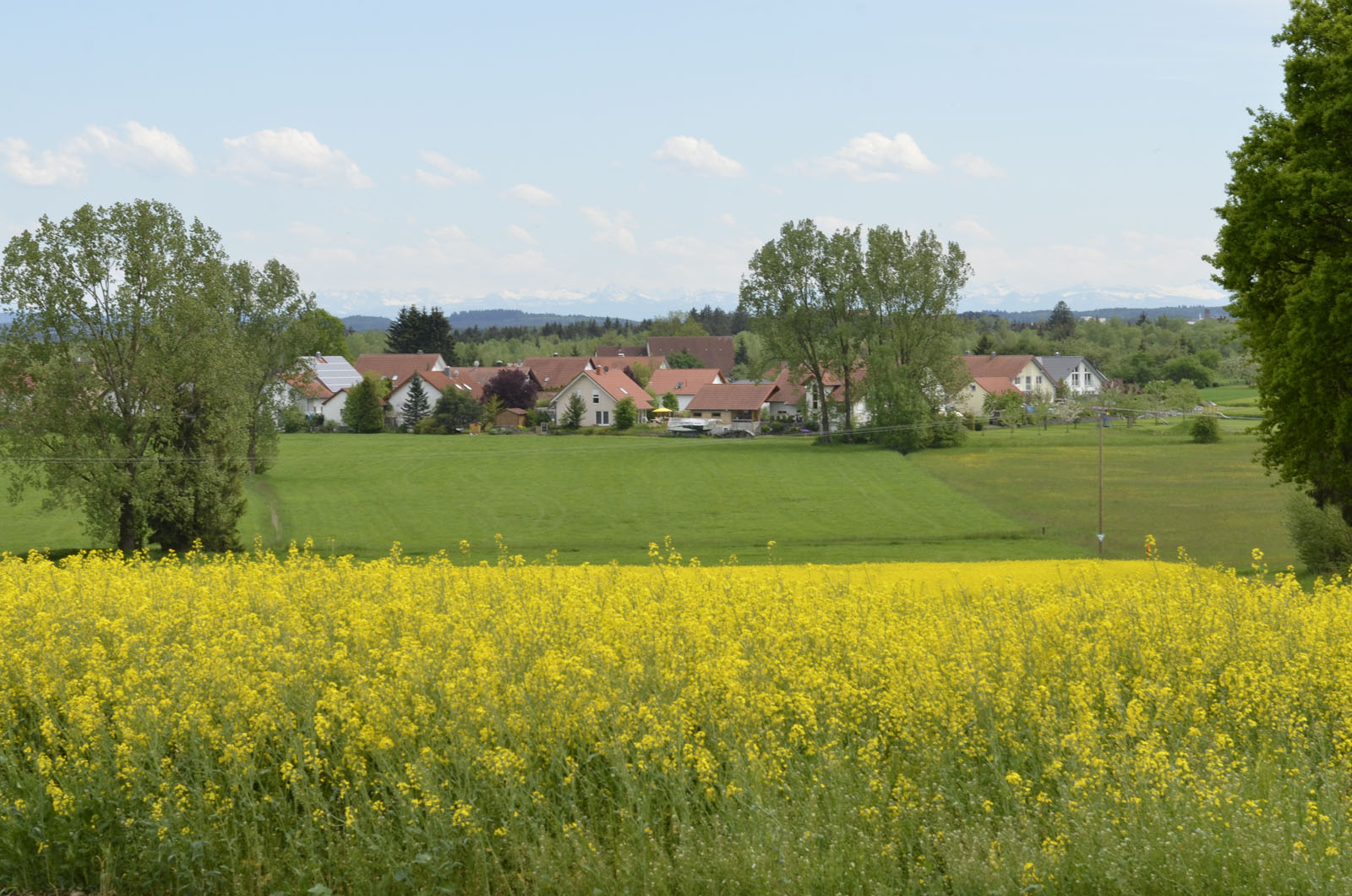  Blick von Kanzach auf die Gemeinde Moosburg. 