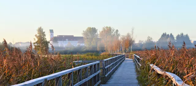 Herbststimmung